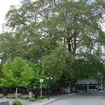 公寓 Cozy Place Living 科扎尼