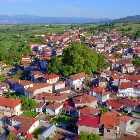 Cozy Place Living * Kozani