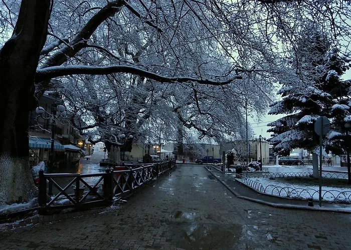 Cozy Place Living * Κοζάνη